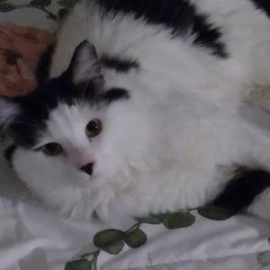 Meet your Posher, Noah